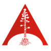 ALLIANCE INSURANCE COMPANY